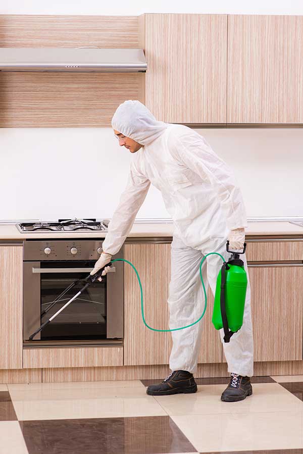 Cockroach control service