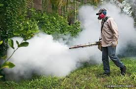 Mosquito treatment